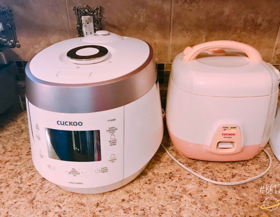 CUCKOO Heating Pressure Cooker & Warmer