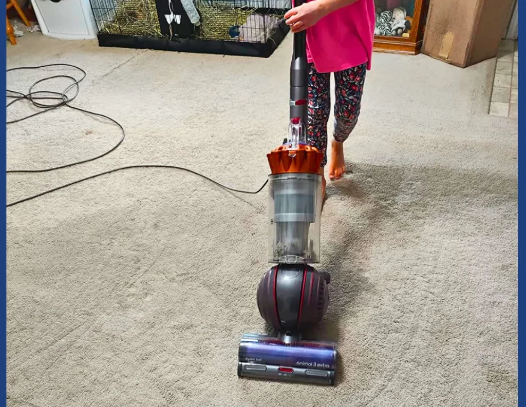 Dyson Ball Animal 3