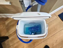 showing 16 Quart Cooler